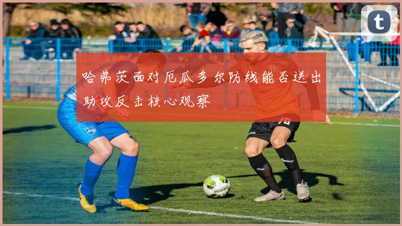 哈弗茨面对厄瓜多尔防线能否送出助攻反击核心观察