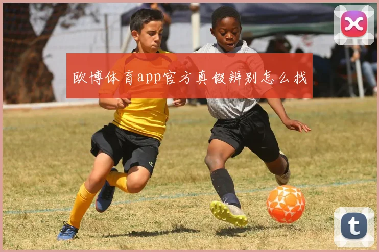 欧博体育app官方真假辨别怎么找