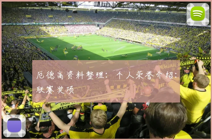 厄德高资料整理:个人荣誉介绍:联赛奖项